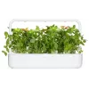 Cápsulas de manjericão-limão Click & Grow para Smart Garden, pack de 3 (SGR76X3)
