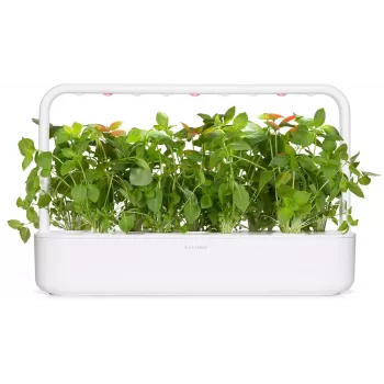 Cápsulas de manjericão-limão Click & Grow para Smart Garden, pack de 3 (SGR76X3)