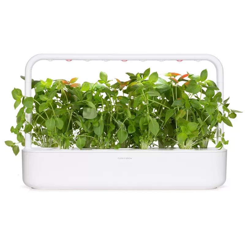 Cápsulas de manjericão-limão Click & Grow para Smart Garden, pack de 3 (SGR76X3)