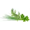 Click & Grow Plant Pod Classic Garnish Mix, 9 un. (PPMCGX9)