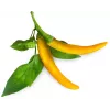 Cápsulas de pimento picante Click & Grow SGR60X3 (pack de 3)