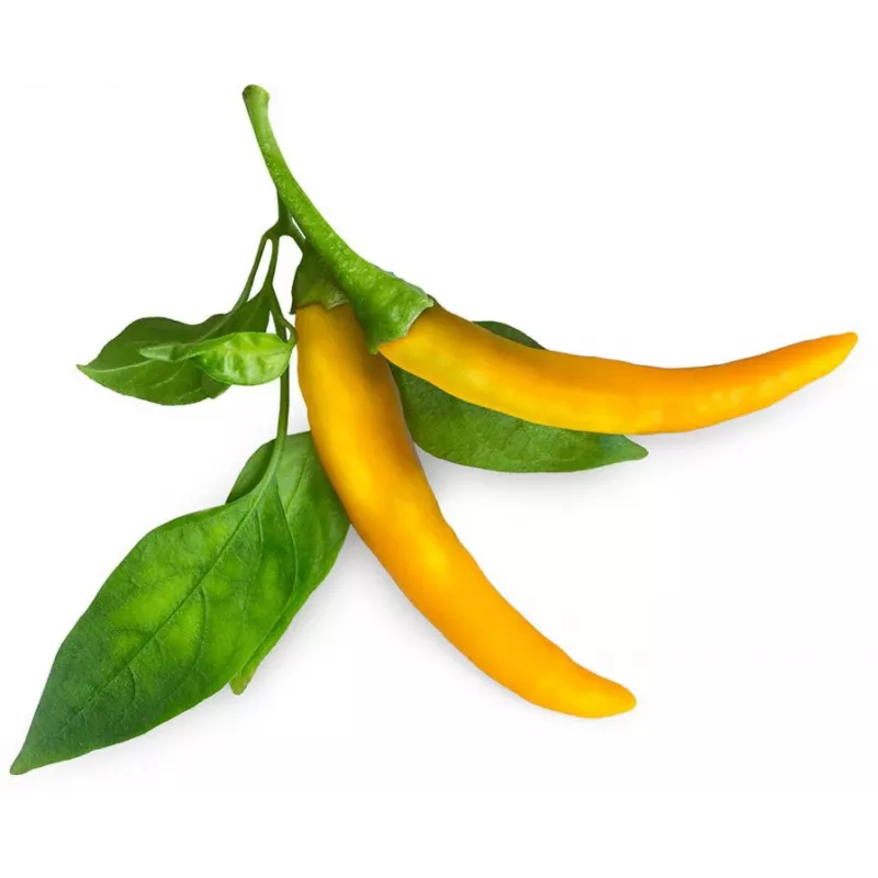 Cápsulas de pimento picante Click & Grow SGR60X3 (pack de 3)