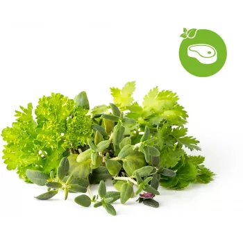 Cápsulas de mistura de ervas para bife Click & Grow para Smart Garden, pack de 9 (PPMSSX9)