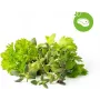 Cápsulas de mistura de ervas para bife Click & Grow para Smart Garden, pack de 9 (PPMSSX9)