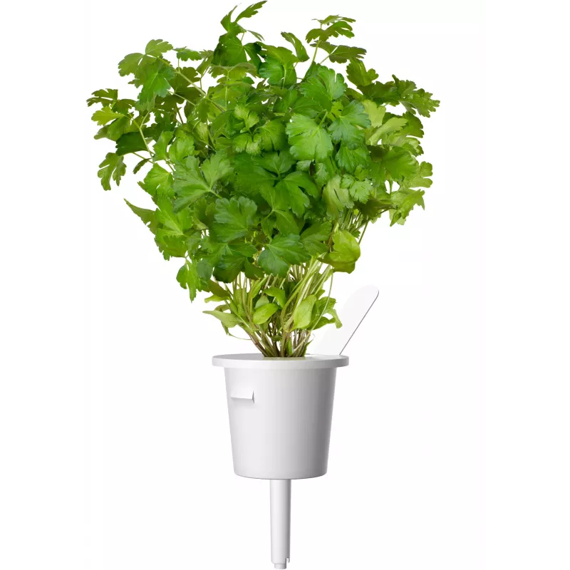 Cápsulas de mistura de ervas para bife Click & Grow para Smart Garden, pack de 9 (PPMSSX9)