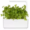 Click & Grow SGR68x3 cápsulas de salsa (pack de 3)