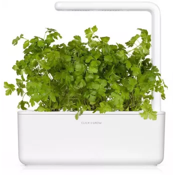 Click & Grow SGR68x3 cápsulas de salsa (pack de 3)