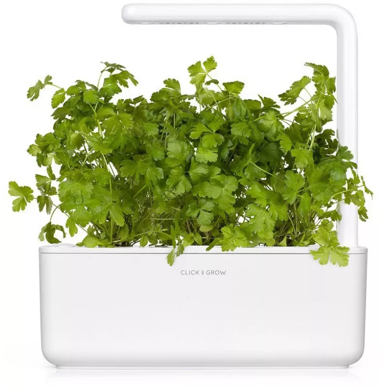 Click & Grow SGR68x3 cápsulas de salsa (pack de 3)