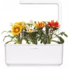 Click & Grow cápsulas de gazânia para Smart Garden, pack de 3 (SGR92X3)