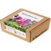 Click & Grow cápsulas de mistura de flores vibrantes para Smart Garden, pack de 9 (PPMVBX9)