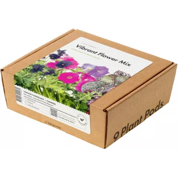 Click & Grow cápsulas de mistura de flores vibrantes para Smart Garden, pack de 9 (PPMVBX9)