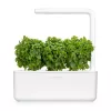 Click & Grow Smart Garden recarga de manjericão anão, 3 cápsulas de plantas (SGR21X3)