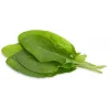 Click & Grow cápsulas de azedas para Smart Garden, pack de 3 (SGR55X3)