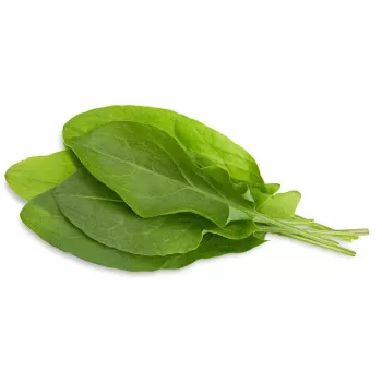 Click & Grow cápsulas de azedas para Smart Garden, pack de 3 (SGR55X3)