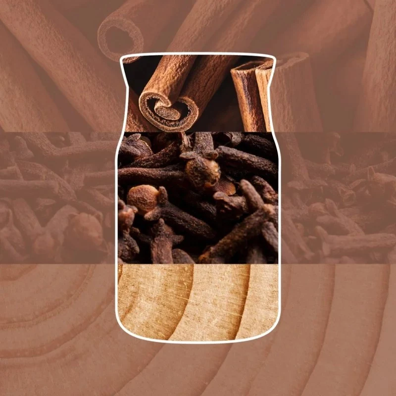 Vela Yankee Candle Signature Cinnamon Stick em frasco grande 567g