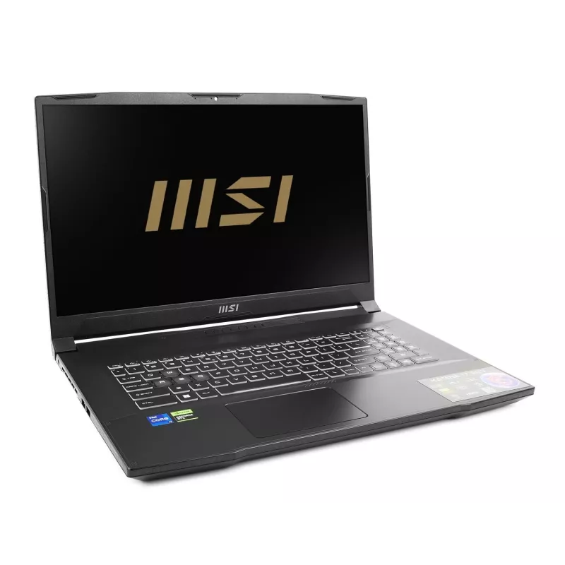 Portátil gaming MSI Katana 17 B13VEK-1261XPL, 17,3