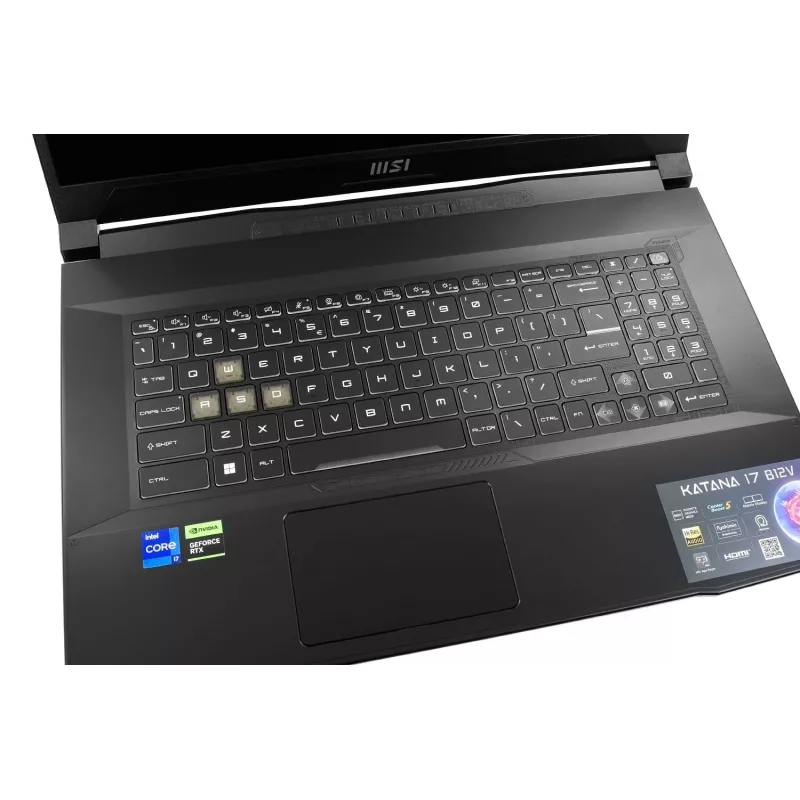 Portátil gaming MSI Katana 17 B13VEK-1261XPL, 17,3
