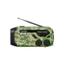 Rádio analógico portátil Blaupunkt ER10GC FM/AM com antena telescópica, altifalante integrado, pega de transporte, verde