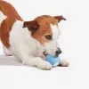 Cheerble Wicked Ball SE brinquedo interativo para cães pequenos, azul