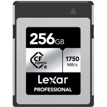 Cartão de memória Lexar Professional CFexpress Type B 256GB, Silver Series (LCXEXSL256G-RNENG)
