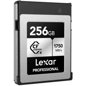 Cartão de memória Lexar Professional CFexpress Type B 256GB, Silver Series (LCXEXSL256G-RNENG)