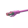 DSIT CAT 6 S/FTP LSOH Cabo de rede patch, 30 m, Rosa
