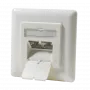 Tomada DSIT de dupla RJ45 para embutir, vertical, Cat.6/Class E blindada, marfim