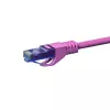 Cabo de rede patch DSIT CAT6a U/UTP 30m rosa, 100% cobre, 10Gbps, RJ45