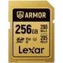 Lexar Professional ARMOR GOLD SDXC UHS-II cartão de memória, 256 GB, V60 (LSDAMGL256G-RNNNG)