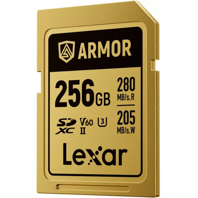 Lexar Professional ARMOR GOLD SDXC UHS-II cartão de memória, 256 GB, V60 (LSDAMGL256G-RNNNG)