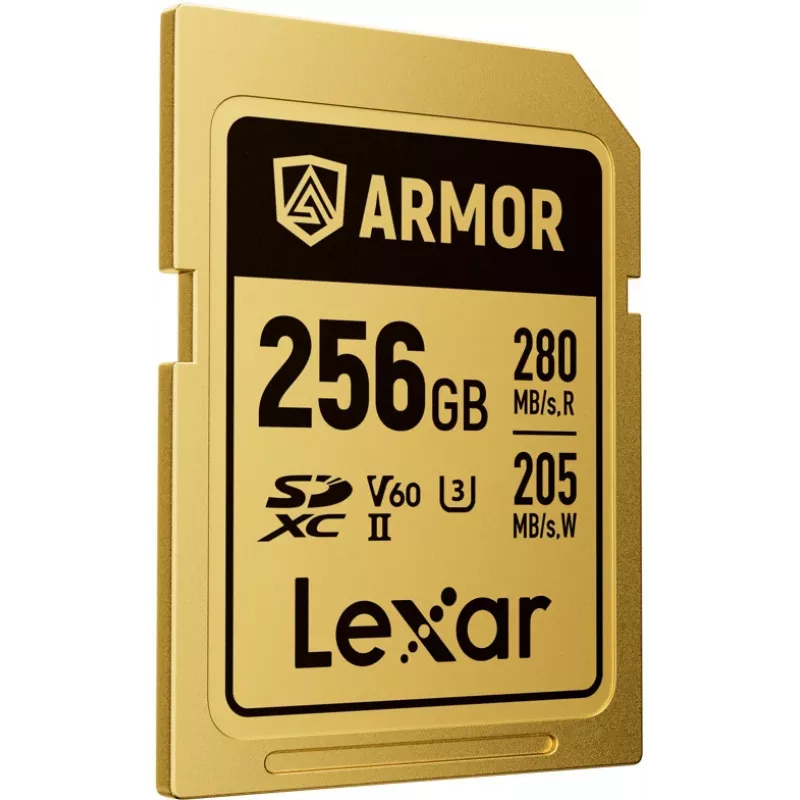 Lexar Professional ARMOR GOLD SDXC UHS-II cartão de memória, 256 GB, V60 (LSDAMGL256G-RNNNG)