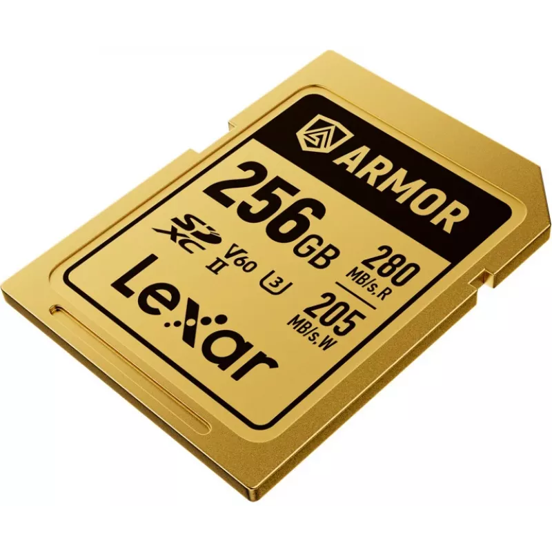 Lexar Professional ARMOR GOLD SDXC UHS-II cartão de memória, 256 GB, V60 (LSDAMGL256G-RNNNG)