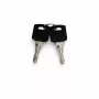 Conjunto de chaves de substituição DSIT para portas de armários de servidor exteriores (9U-22U) - 2 chaves, DS-KEY-OUT-M