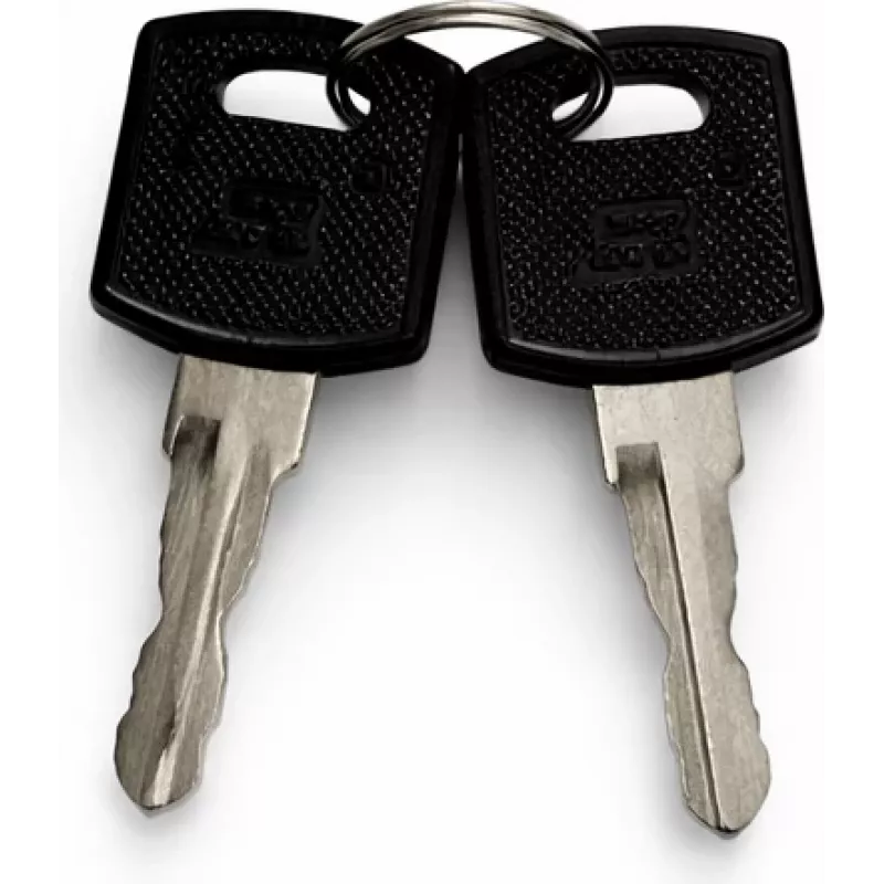 Conjunto de chaves de substituição DSIT para portas de armários de servidor exteriores (9U-22U) - 2 chaves, DS-KEY-OUT-M