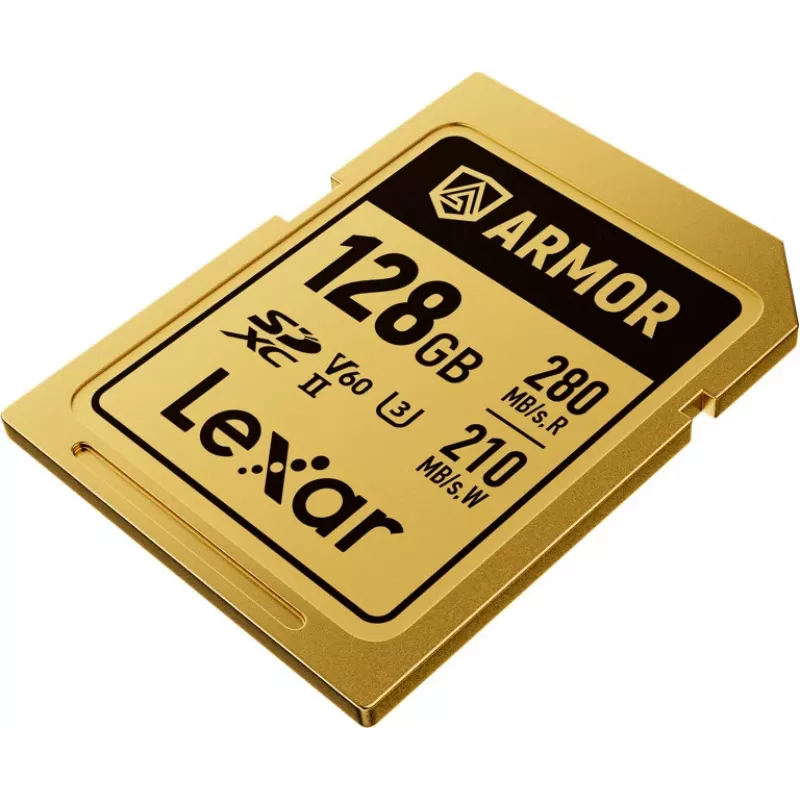 Lexar Professional ARMOR GOLD 128GB SDXC UHS-II V60 cartão de memória (LSDAMGL128G-RNNNG)