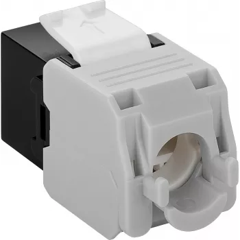 Conector de rede keystone DS-IT CAT6a UTP - sem ferramentas - preto (DS-KC-UTP6A-TL-1)
