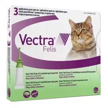 Ceva Vectra Felis tratamento spot-on contra pulgas para gatos – 3 pipetas