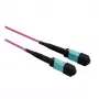 VALUE Cabo trunk MPO 50/125µm OM4, MPO/MPO, tipo A, violeta, 15 m