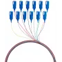EFB Elektronik Pigtail de fibra ótica SC 9/125 OS2 Conjunto de 12 cores 2m - Conjunto de cabo/adaptador monomodo