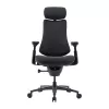 Cadeira ergonómica LiberNovo Omni Pro 48 cm (grafite)