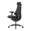 Cadeira ergonómica LiberNovo Omni Pro 48 cm (grafite)