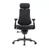 Cadeira ergonómica LiberNovo Omni Pro 45 cm grafite