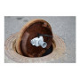 ELSYS ELT ultrassom neve LoRa