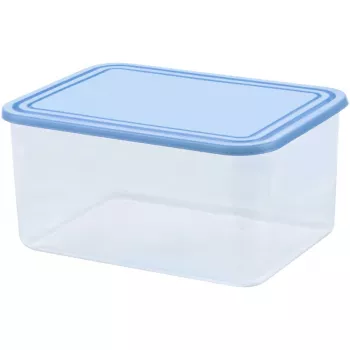 Caixa de armazenamento retangular CURVER Smart To Go 4L transparente com tampa azul