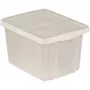 CURVER Essentials Caixa de armazenamento transparente 26L com tampa, empilhável e encaixável, 44x34x27 cm
