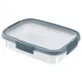 CURVER Smart Eco Fresh Caixa de armazenamento retangular 0,7L Transparente com tampa verde