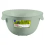 CURVER Kitchen Essentials passador, verde