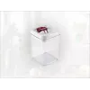 Recipiente hermético para alimentos LEIFHEIT Fresh&Easy 1,6L, sem BPA, transparente com tampa verde