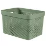 Caixa CURVER Infinity Recycled 17L 36x27x22cm verde