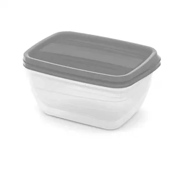 Conjunto de 2 tigelas de comida para animal de estimação Curver Vedo retangulares 2x1,3L transparente cinzento